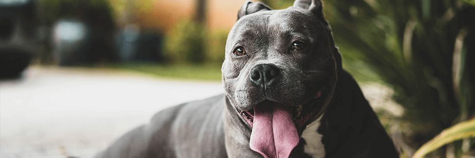 Encuentra la clínica más cercana
